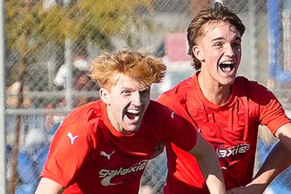 NATIONAL LEAGUE NORTH RESULTS AND ATTENDANCES YESTERDAY visual data 7